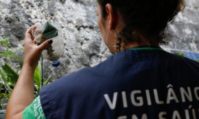 Minas Gerais pode atingir pico de dengue até março