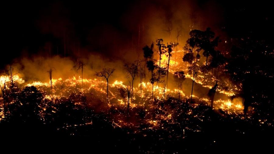 Foco de incêndio na Floresta Amazônia em São Félix do Xingu, no Pará