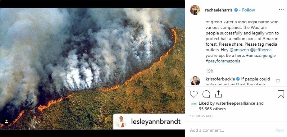 Elenco de Lucifer está apoiando a Amazônia. (Foto: Reprodução)