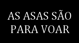 As asas são para Voar (Foto: Reprodução)