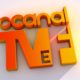 O Canal TV e Famosos estreia nesta segunda (05) na Rede NGT (Foto: Divulgação)