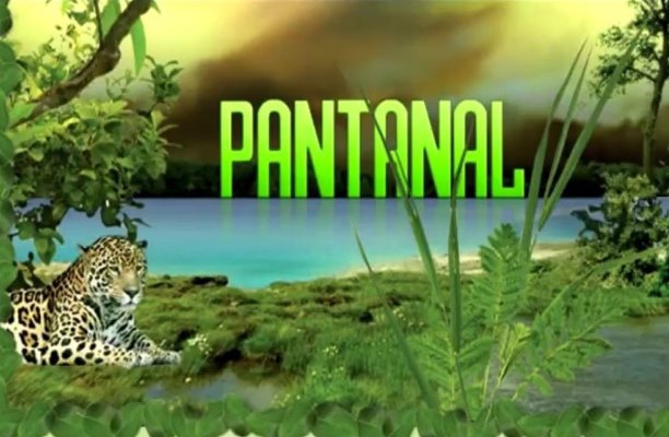 De fato, a novela Pantanal foi a que mais marcou a memória dos brasileiros tanto na exibição original na Manchete quanto no remake da Globo (Créditos: Reprodução)