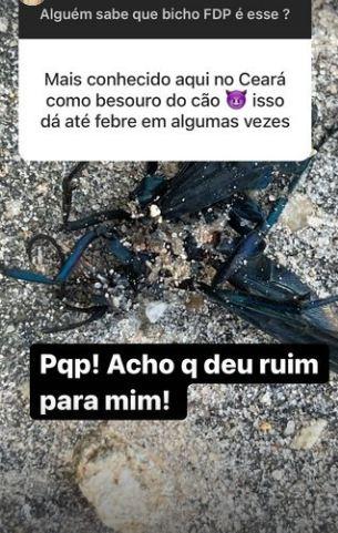 André Marques compartilha perrengue nos stories do seu instagram (Foto Reprodução)