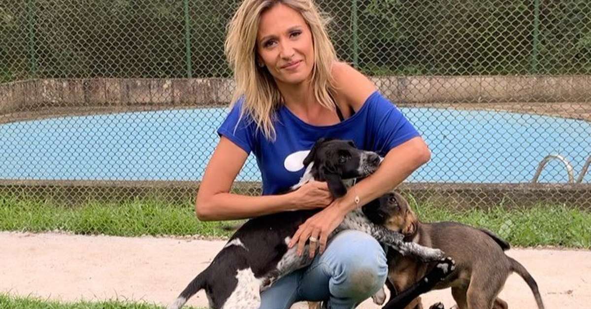Luisa Mell chora ao se vê no espelho e encara o pior ano de sua vida: "Estou lutando para sobreviver"