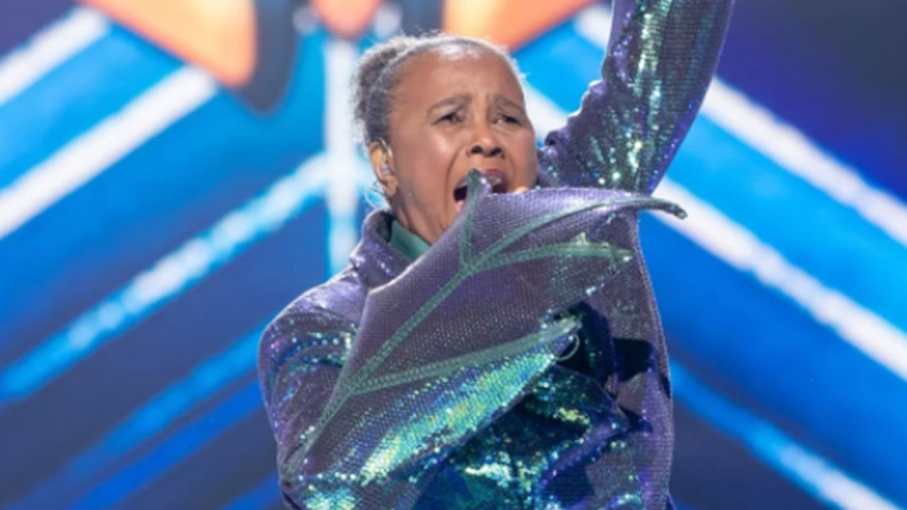 Sandra de Sá (Foto: Reprodução)