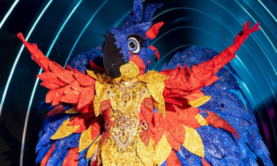 A final de The Masked Singer Brasil foi recheada de emoções e revelações. Entre eles, a identidade da Arara, da Gata Espelhada e do Unicornio