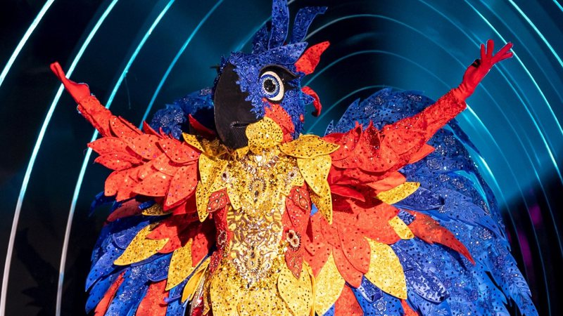 A final de The Masked Singer Brasil foi recheada de emoções e revelações. Entre eles, a identidade da Arara, da Gata Espelhada e do Unicornio