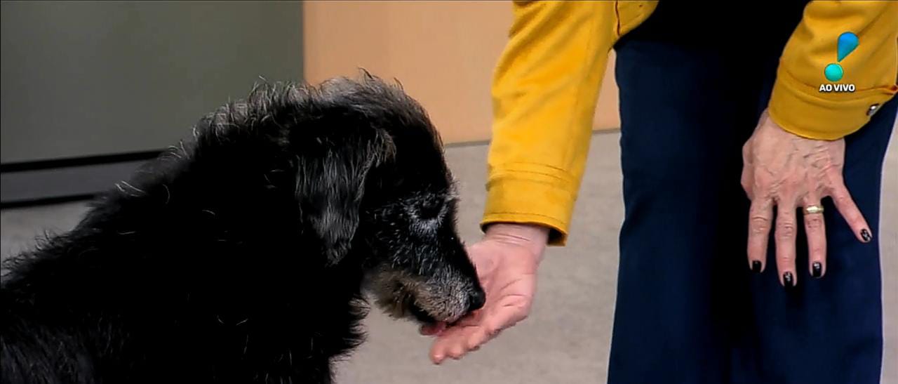 Berinjela foi bem tratado por Claudete Troiando durante o ao vivo no Vou Te Contar (Créditos: Reprodução/RedeTV)