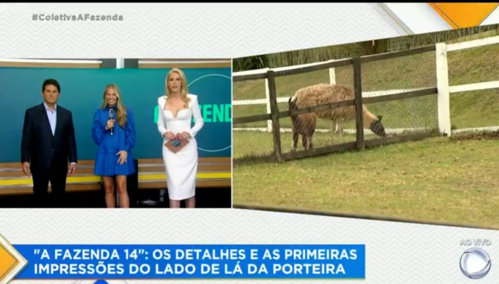 Enfim, confira o momento em que foi divulgado a novidade sobre A Fazenda 14 (Foto: Reprodução)